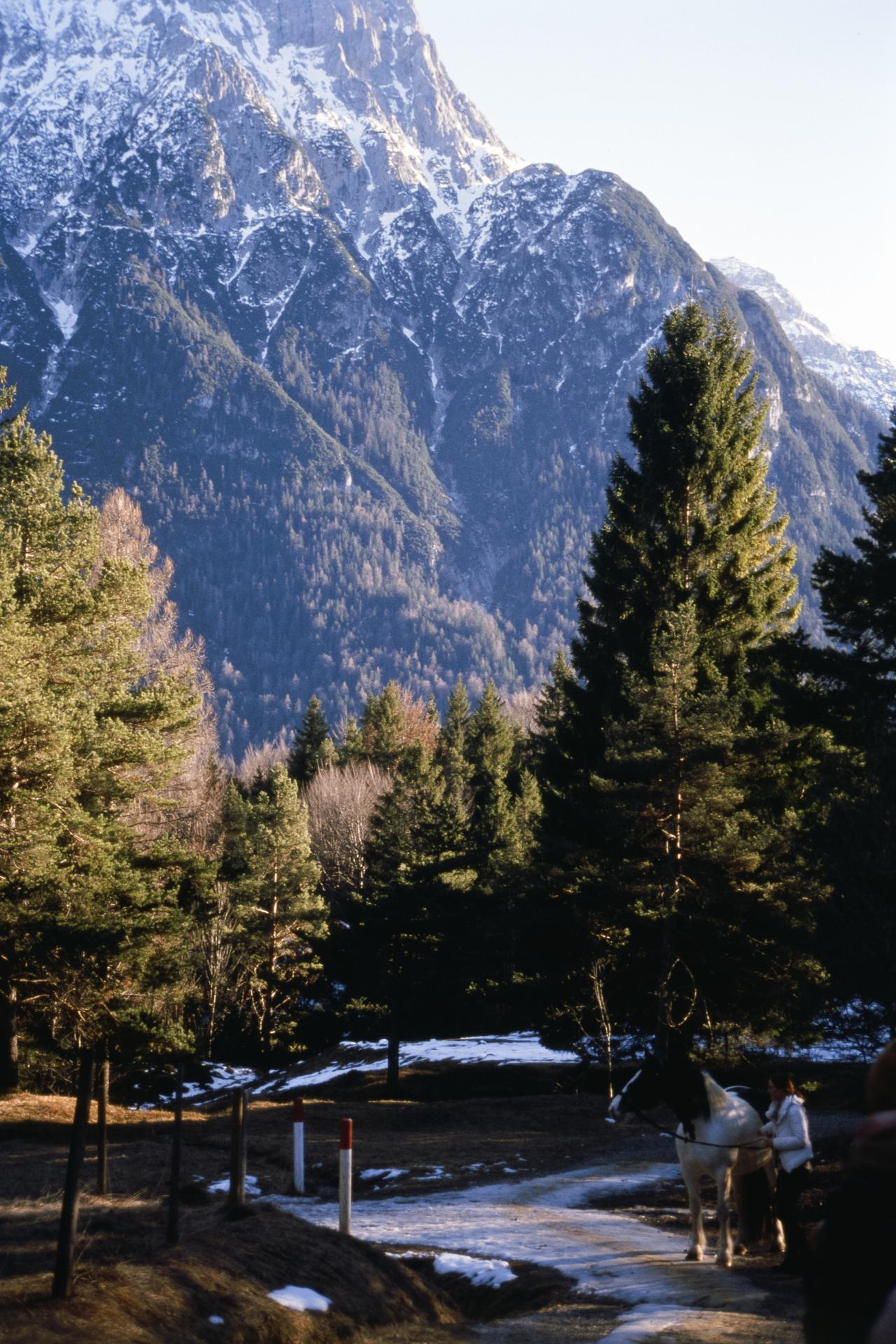 Thumbnail /2021 Krün/Pferd II.jpg